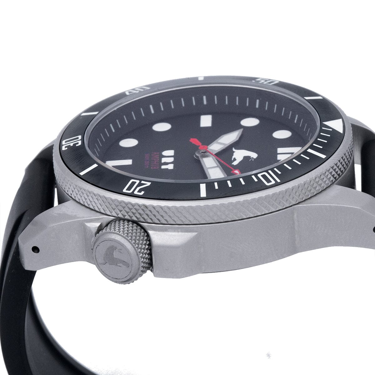 The Amphib Dive Watch // Stainless Steel
