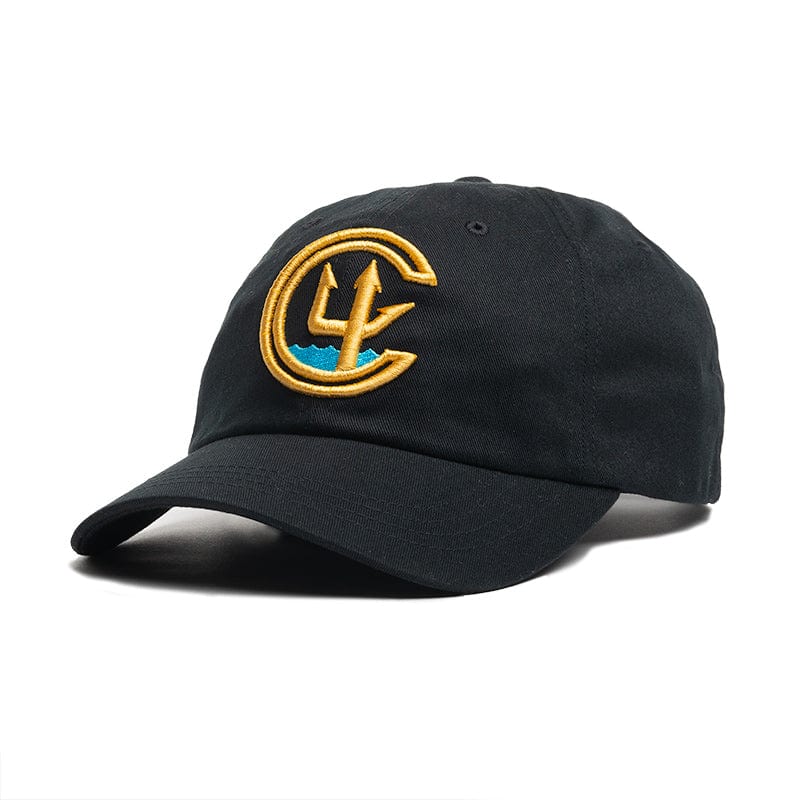 C4 Foundation Logo Dad Hat