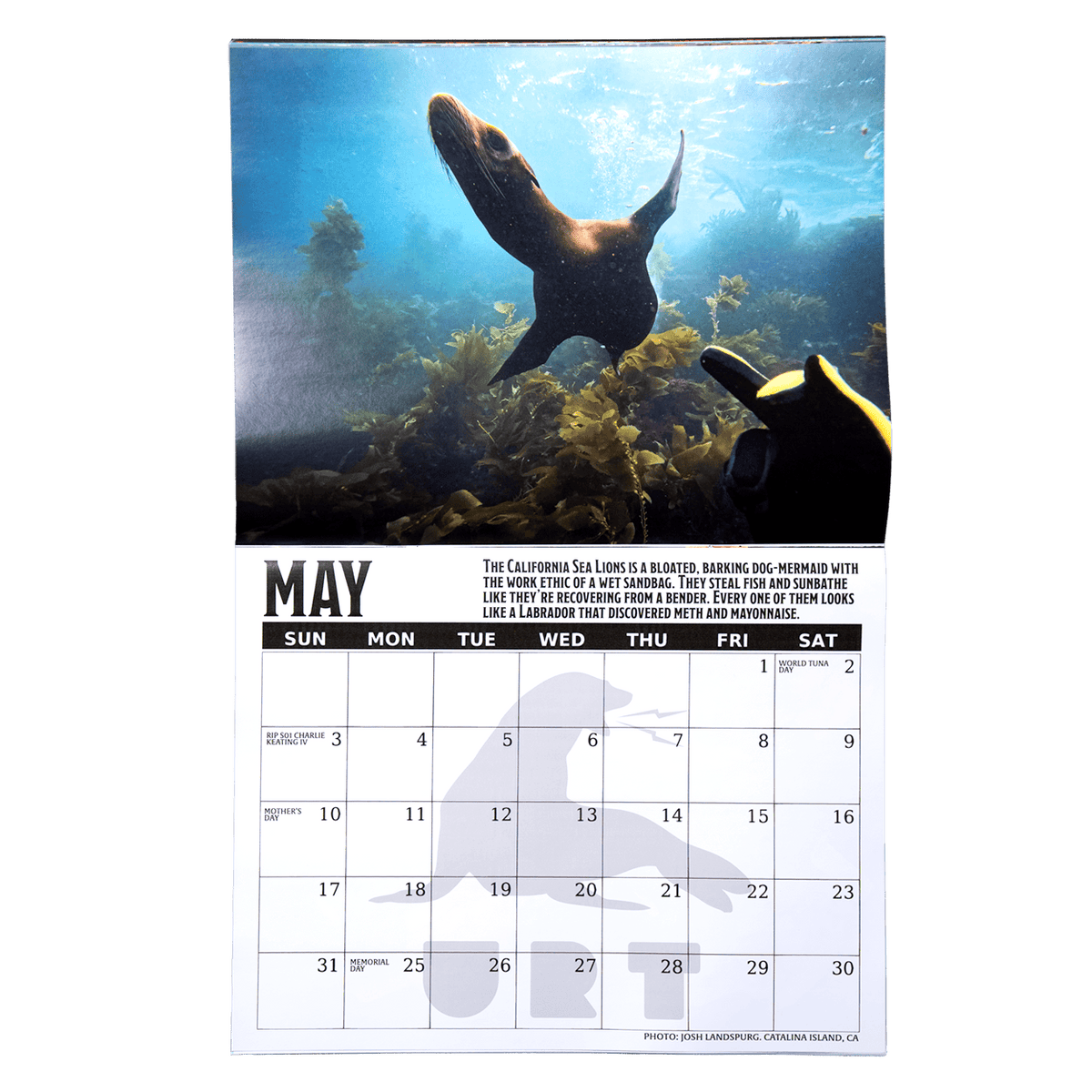 2026 Fish Sticks Wall Calendar