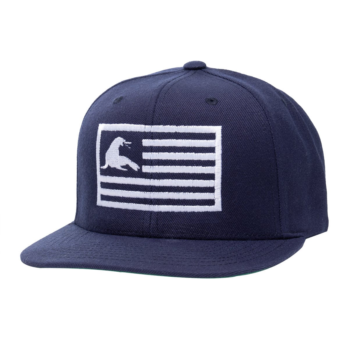 URT Flag Flat Bill