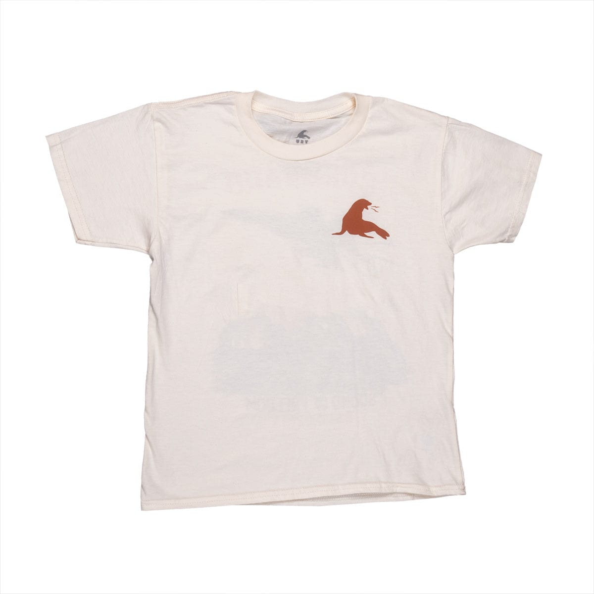 Youth Sound of Freedom - Coronado