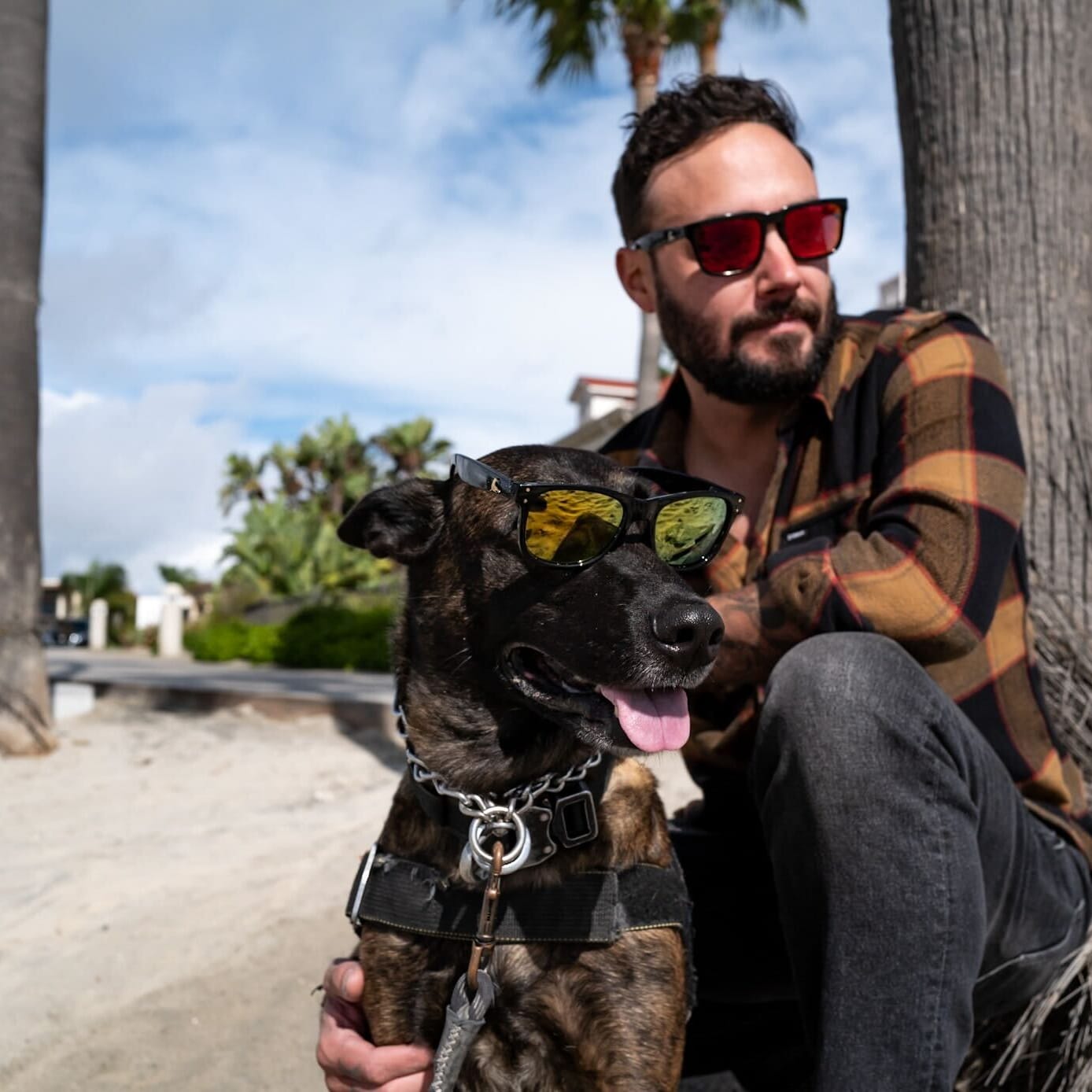 See Monster Polarized Shades // Golden Eye
